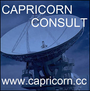 Capricorn Consult