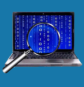 Online Private Investigation Services