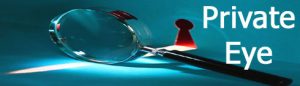 Private Investigators