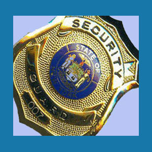 Private Security